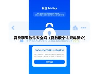 高欣聊天软件安全吗（高欣欣个人资料简介）