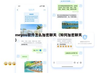 meyou软件怎么加密聊天（如何加密聊天）