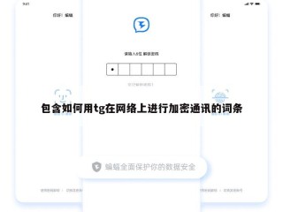 包含如何用tg在网络上进行加密通讯的词条