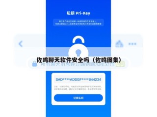 佐鸣聊天软件安全吗（佐鸣图集）