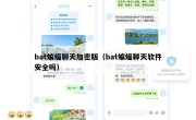 bat蝙蝠聊天加密版（bat蝙蝠聊天软件安全吗）