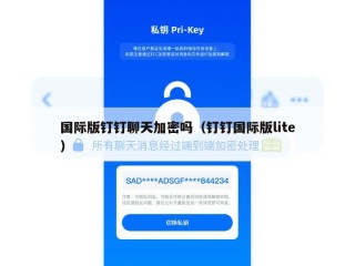 国际版钉钉聊天加密吗（钉钉国际版lite）