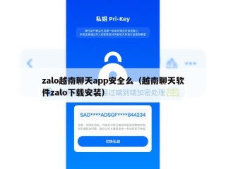 zalo越南聊天app安全么（越南聊天软件zalo下载安装）
