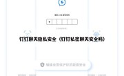 钉钉聊天隐私安全（钉钉私密聊天安全吗）