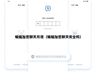 蝙蝠加密聊天月夜（蝙蝠加密聊天安全吗）