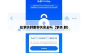 在掌嗨群里聊天安全吗（掌嗨 群）