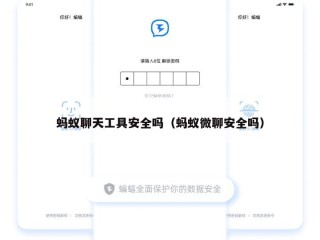 蚂蚁聊天工具安全吗（蚂蚁微聊安全吗）