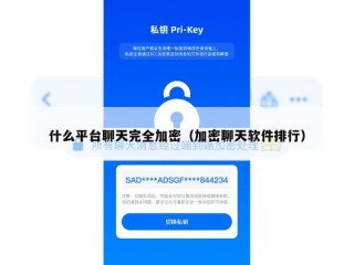 什么平台聊天完全加密（加密聊天软件排行）