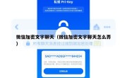 微信加密文字聊天（微信加密文字聊天怎么弄）