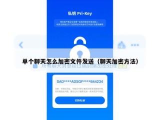 单个聊天怎么加密文件发送（聊天加密方法）