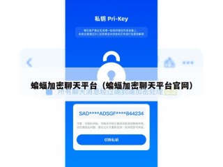 蝙蝠加密聊天平台（蝙蝠加密聊天平台官网）