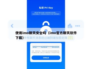 使用imo聊天安全吗（imo官方聊天软件下载）