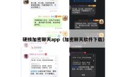 硬核加密聊天app（加密聊天软件下载）
