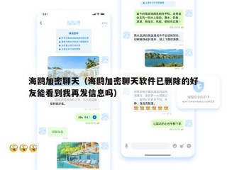 海鸥加密聊天（海鸥加密聊天软件已删除的好友能看到我再发信息吗）