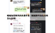 蝙蝠加密聊天的头像不变（蝙蝠聊天加密失败怎么处理）
