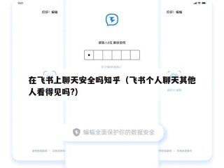 在飞书上聊天安全吗知乎（飞书个人聊天其他人看得见吗?）
