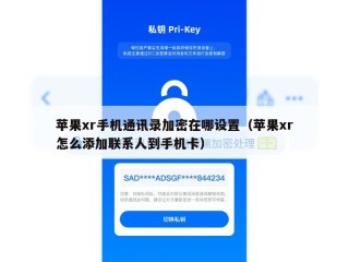 苹果xr手机通讯录加密在哪设置（苹果xr怎么添加联系人到手机卡）