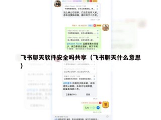 飞书聊天软件安全吗共享（飞书聊天什么意思）