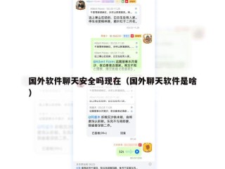 国外软件聊天安全吗现在（国外聊天软件是啥）