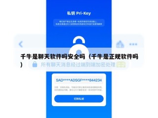 千牛是聊天软件吗安全吗（千牛是正规软件吗）