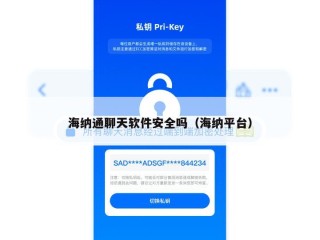 海纳通聊天软件安全吗（海纳平台）