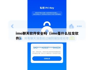 imo聊天软件安全吗（imo是什么社交软件）