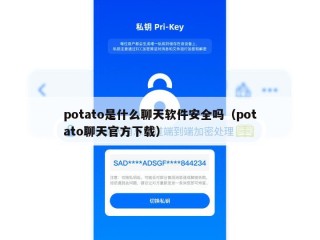 potato是什么聊天软件安全吗（potato聊天官方下载）
