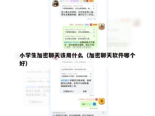 小学生加密聊天该用什么（加密聊天软件哪个好）