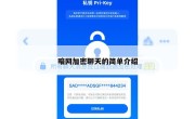 暗网加密聊天的简单介绍