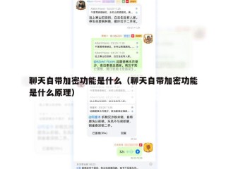 聊天自带加密功能是什么（聊天自带加密功能是什么原理）