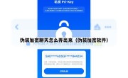 伪装加密聊天怎么弄出来（伪装加密软件）