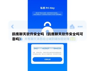 鹞鹰聊天软件安全吗（鹞鹰聊天软件安全吗可靠吗）