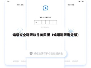蝙蝠安全聊天软件美国版（蝙蝠聊天海外版）