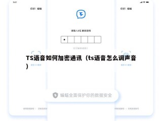 TS语音如何加密通讯（ts语音怎么调声音）