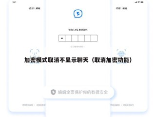 加密模式取消不显示聊天（取消加密功能）