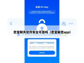 密室聊天软件安全可靠吗（密室解密app）