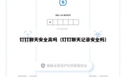 钉钉聊天安全高吗（钉钉聊天记录安全吗）