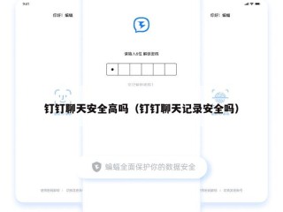钉钉聊天安全高吗（钉钉聊天记录安全吗）
