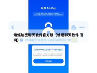 蝙蝠加密聊天软件官方版（蝙蝠聊天软件 官网）