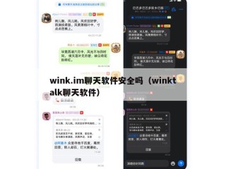 wink.im聊天软件安全吗（winktalk聊天软件）