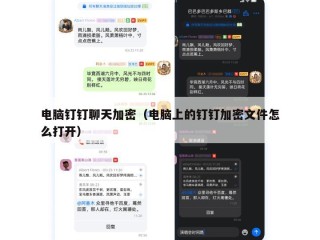 电脑钉钉聊天加密（电脑上的钉钉加密文件怎么打开）