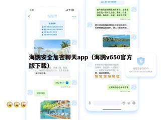 海鸥安全加密聊天app（海鸥v650官方版下载）