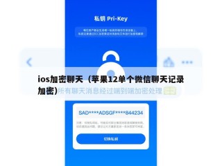 ios加密聊天（苹果12单个微信聊天记录加密）